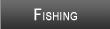 Kenai Lake Fishing
